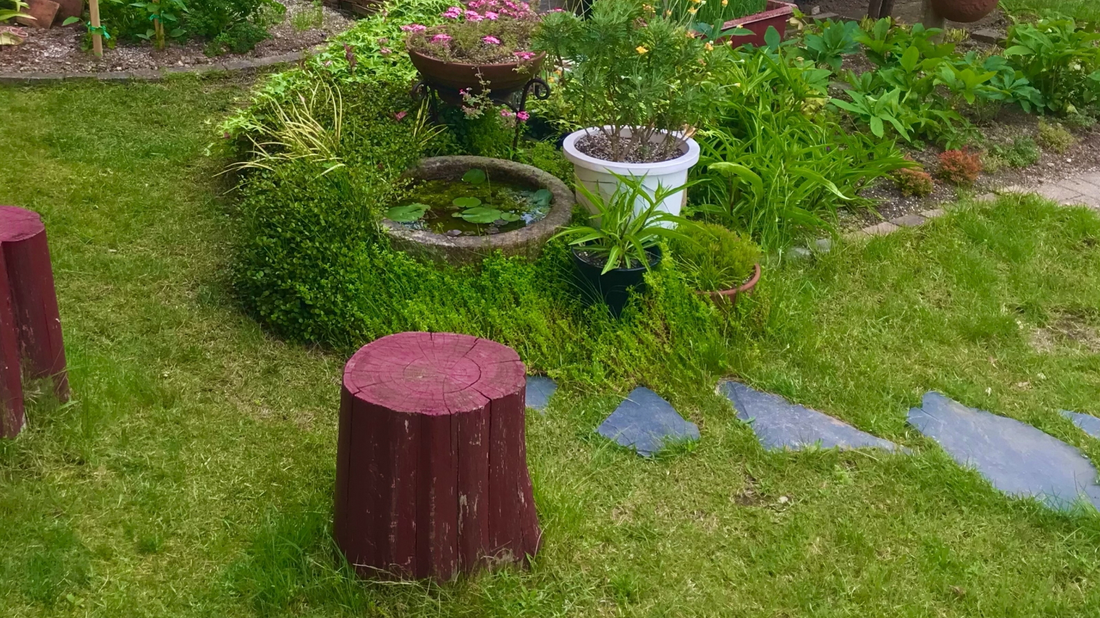 スライド画像①